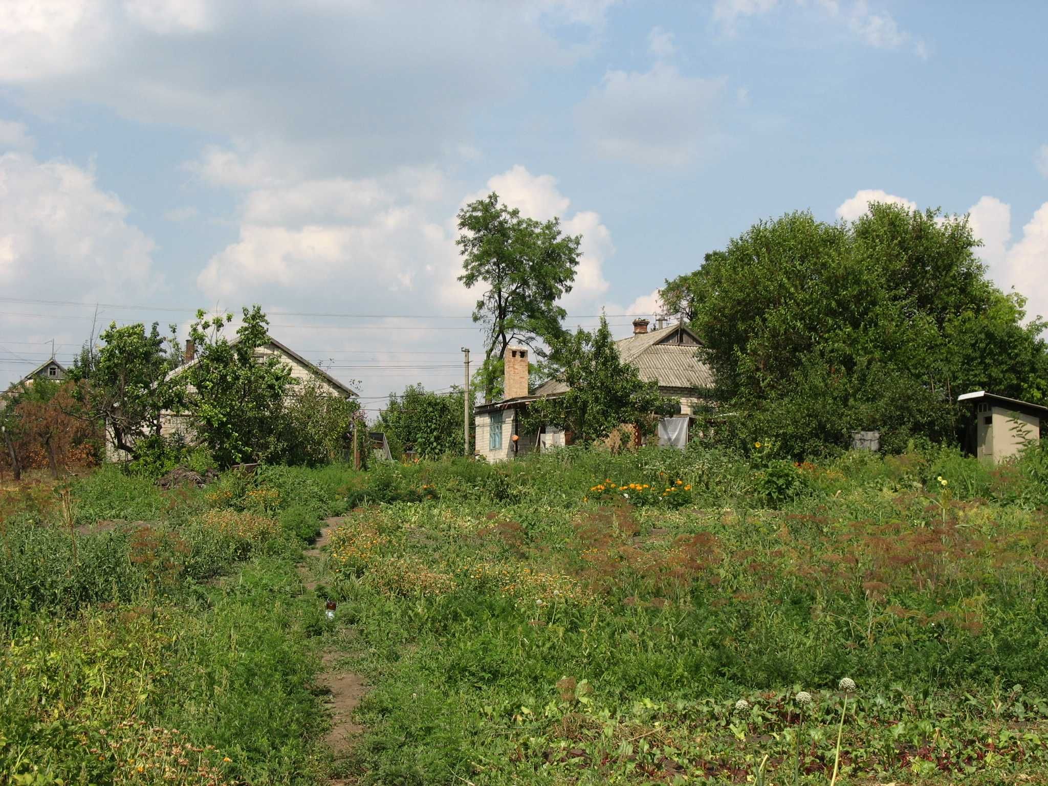 Продам будинок у селі Кочережки, Павлоградський р-н