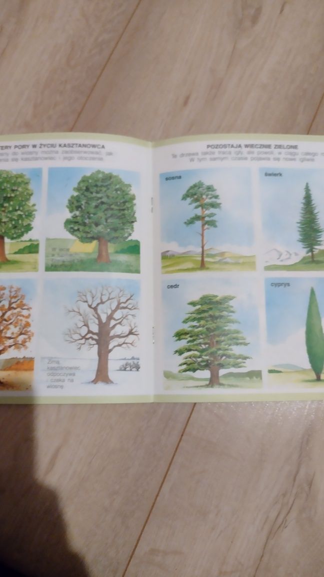 Księga przyrody drzewa