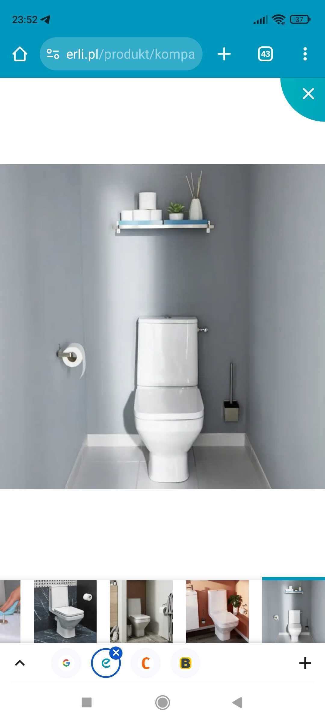 WC GoodHome Teesta