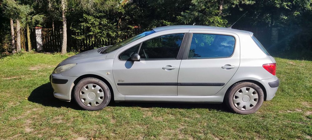 peugeot 307 b+g 2007 r