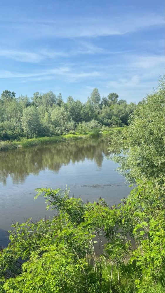 Будинок ( Таунхаус) в оренду пободово