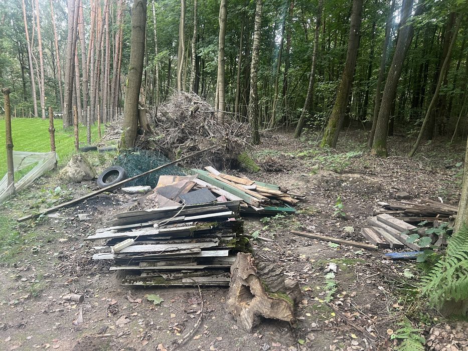 Zaplace za zabranie  gałęzie i korzenie