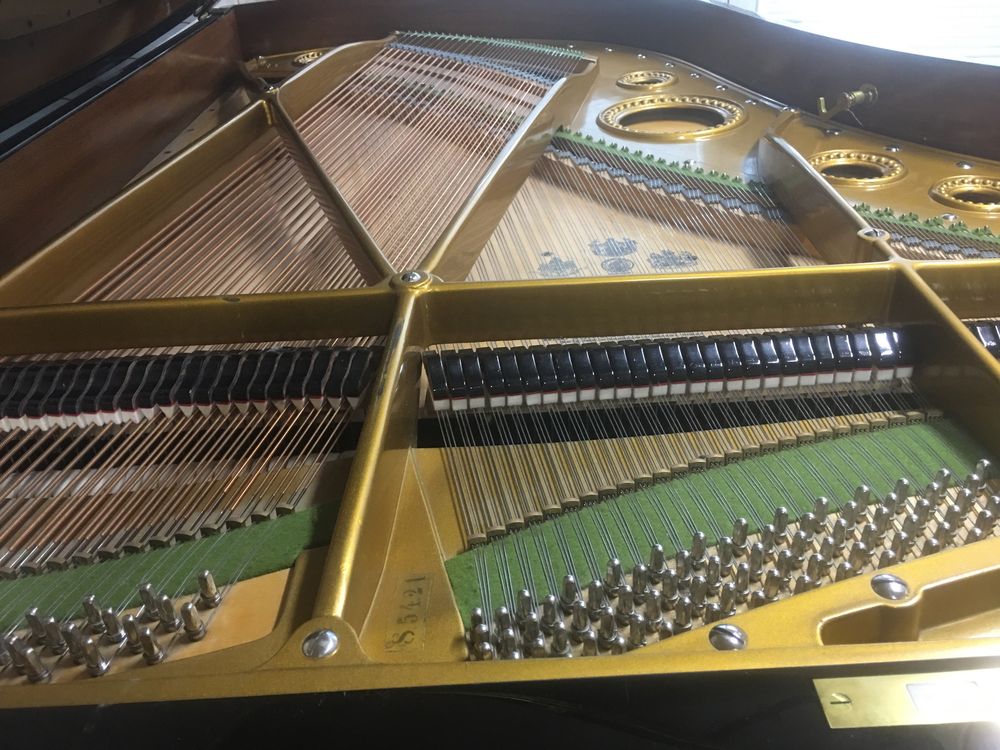 Sprzedam fortepian marki C BECHSTEIN model B