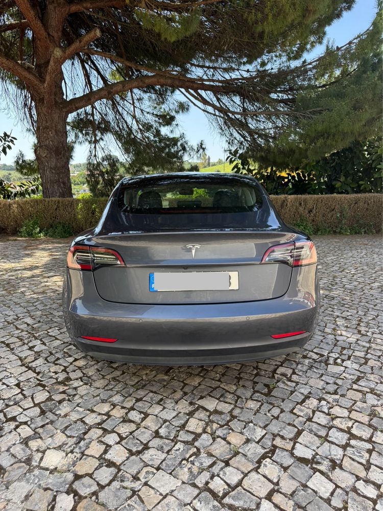 Tesla Model 3 Standart Range Plus