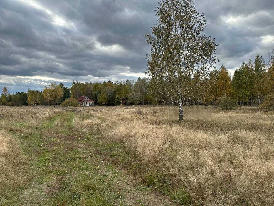 Продаж ділянки 12сот під садівництво. В оточені хвойного лісу. ID:462