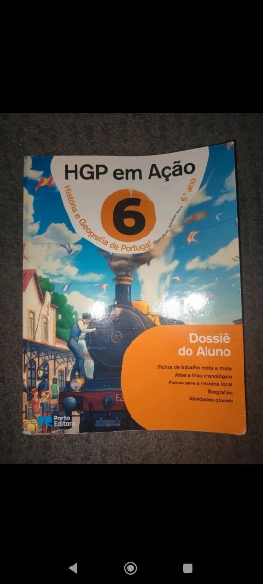 Livro de fichas História 6 ano