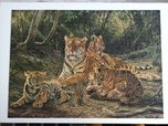 Puzzle Tygrysy 1000 el.
