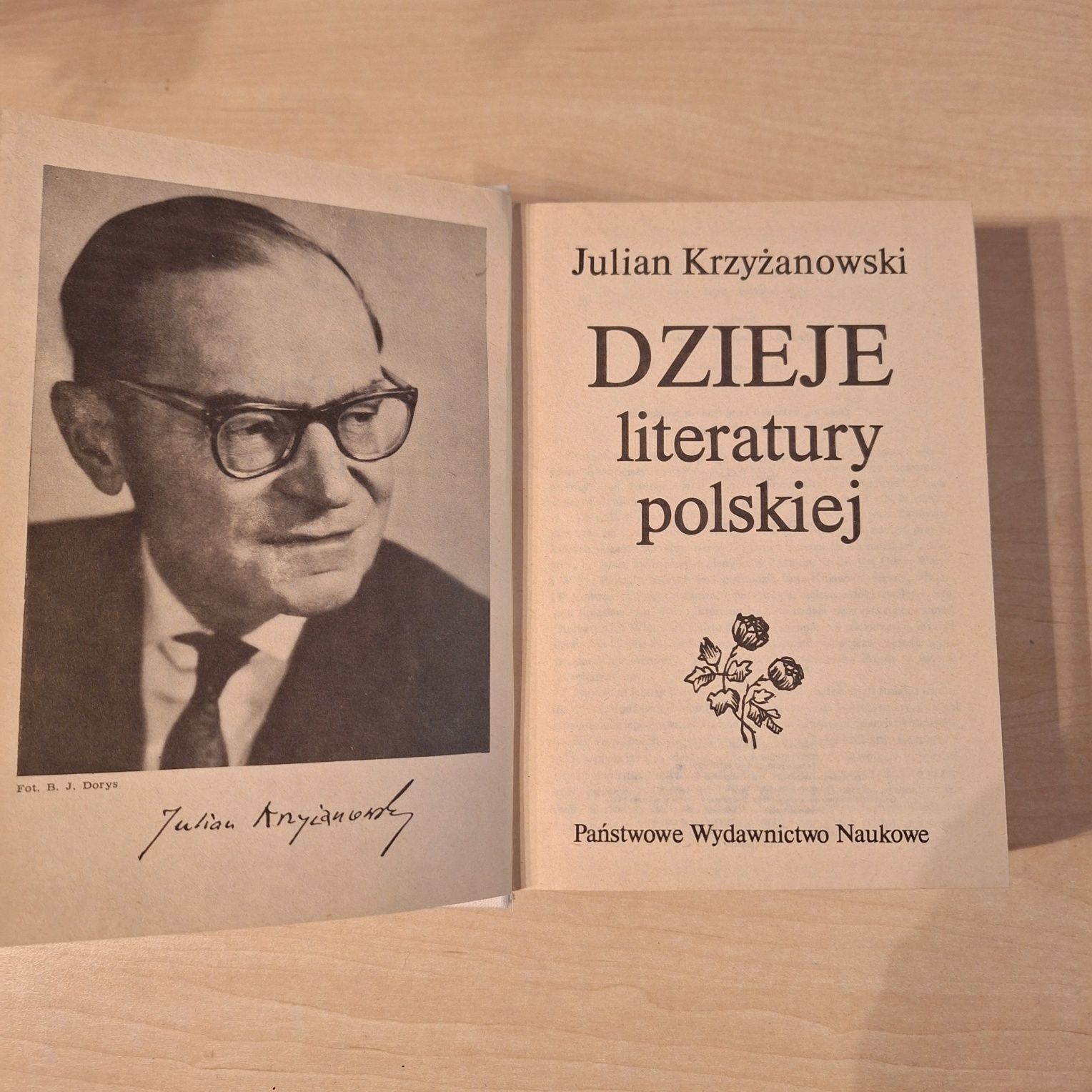 Julian Krzyżanowski Dzieje literatury polskiej