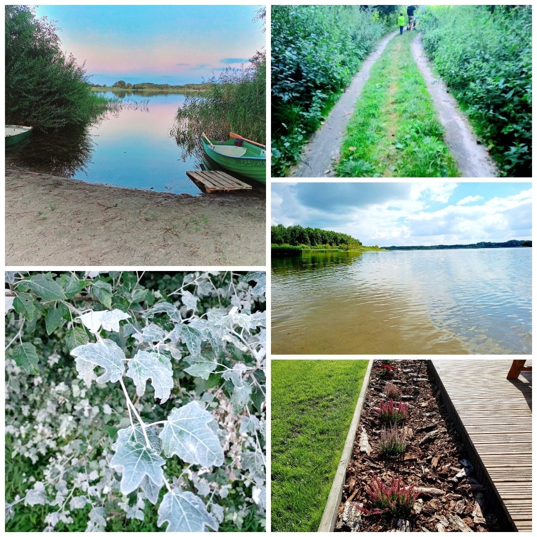 Domek letniskowy ,, Stodoła " w lesie nad jeziorem z jacuzzi 16 osobow