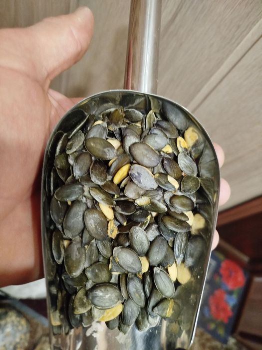 Голонасінне гарбузове насіння