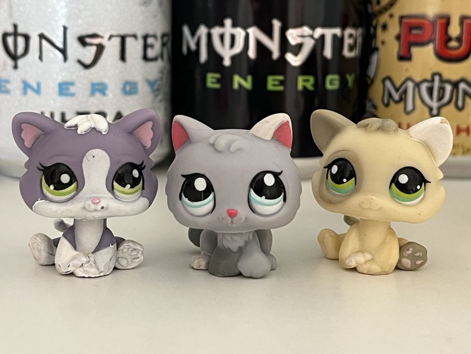 Продам оригинальных котят лпс lps