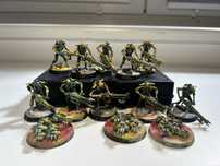 10 necron warriors i 3 necron scarabs warhammer 40k