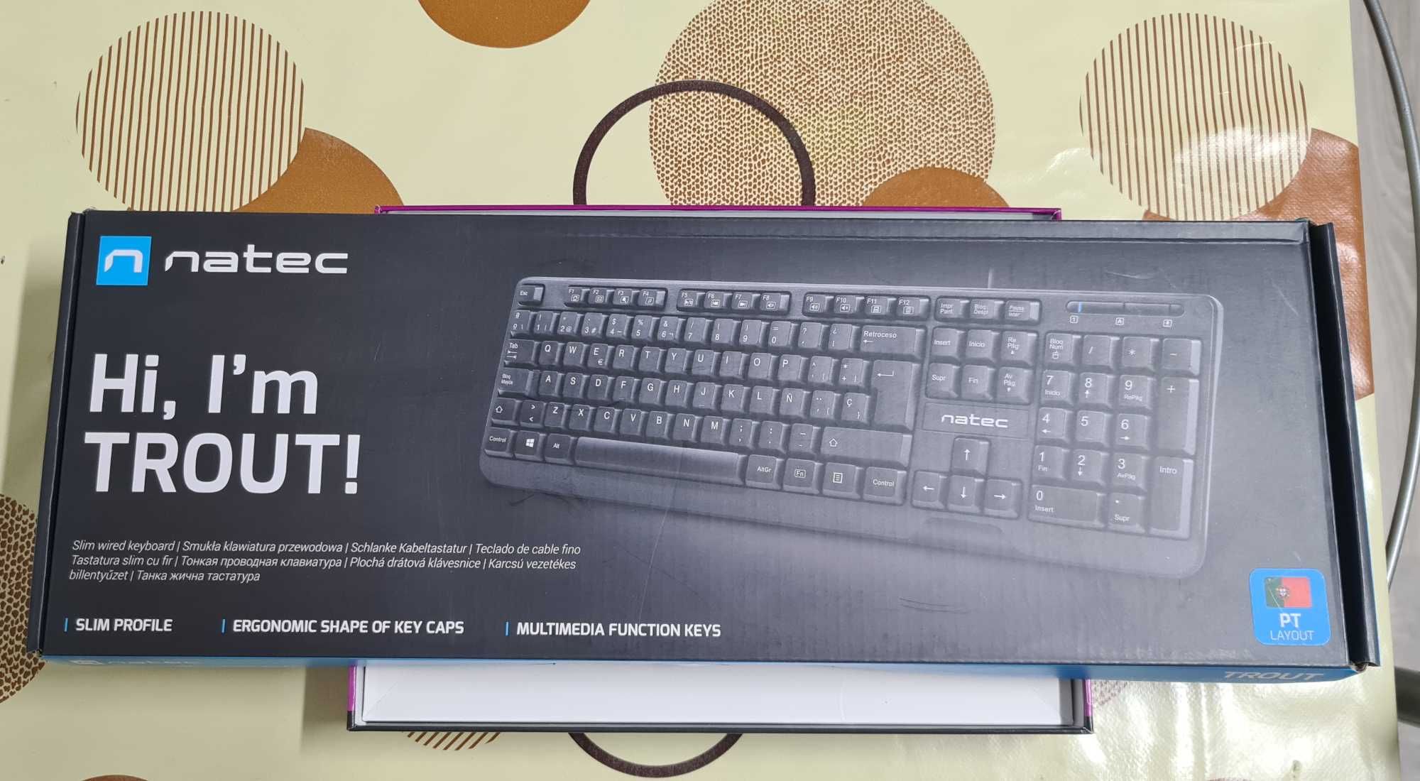 Teclado Natec Trout Slim USB Preto