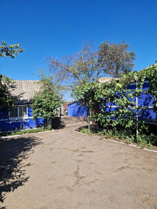 Продам дом в селі Олександрівка, Доманівського району