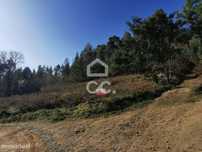 Terreno Rústico, Idães, Felgueiras