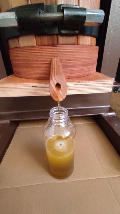 Гарбузова олія Холодного віджиму/ СИРОДАВЛЕНА 530/480