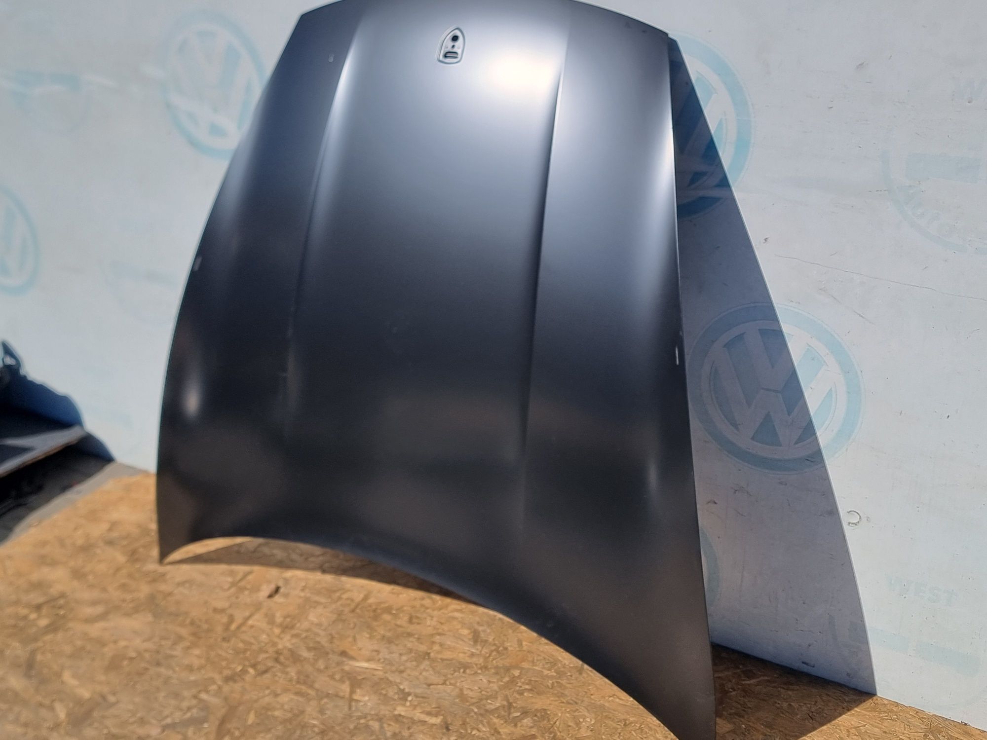 Капот Porsche Taycan Порш тайкан 9J1823031AYGRV