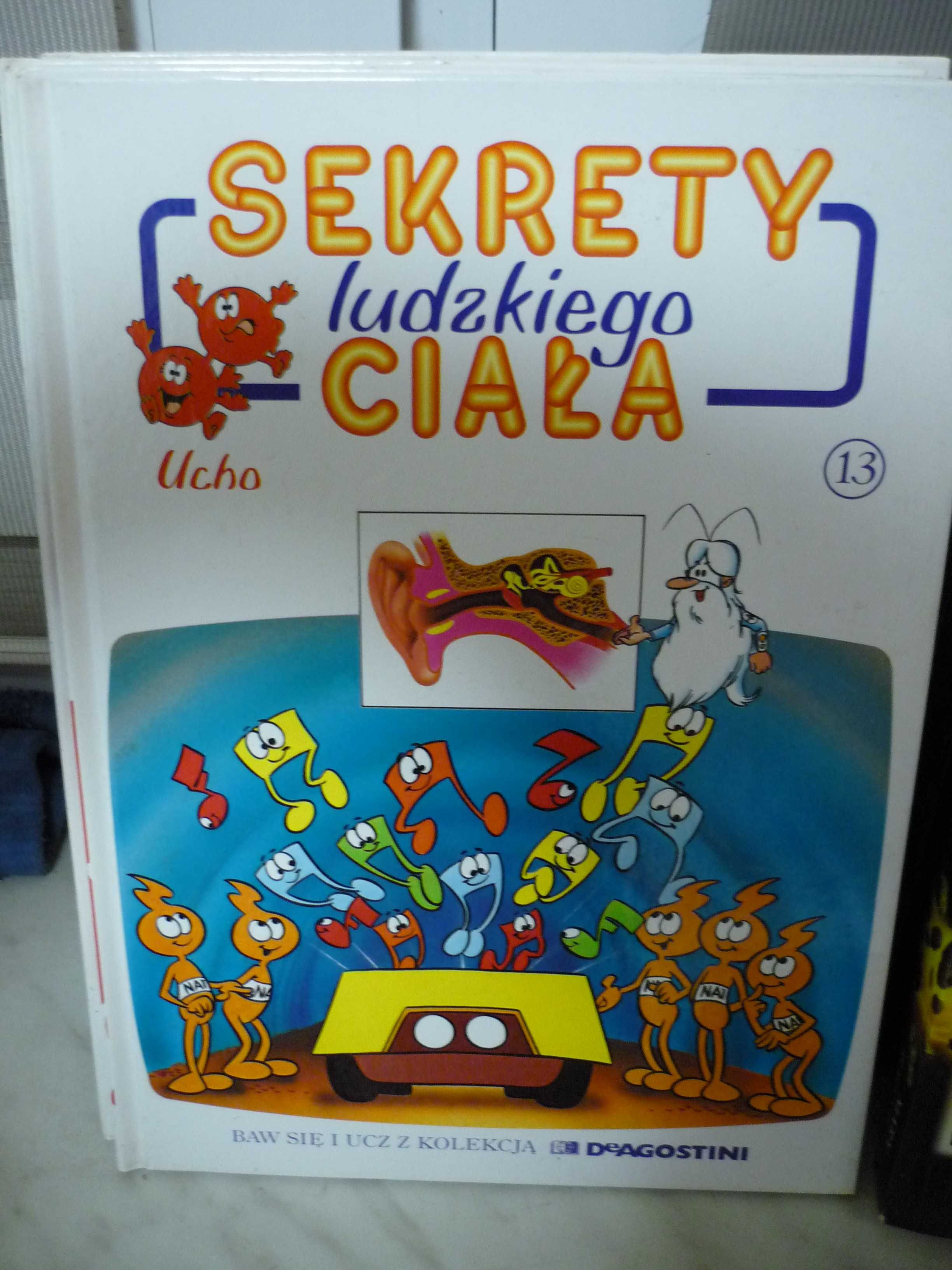 Sekrety ludzkiego ciała 13 , ucho.