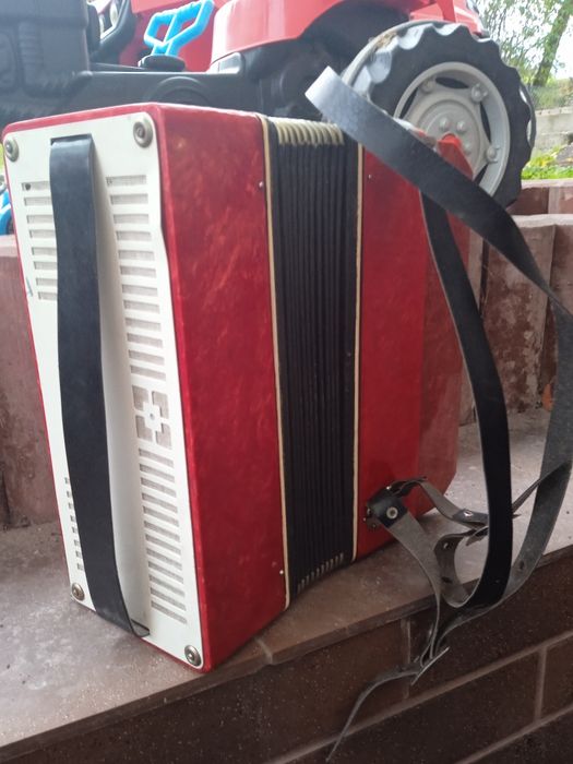 Akordeon guzikowy dla dziecka