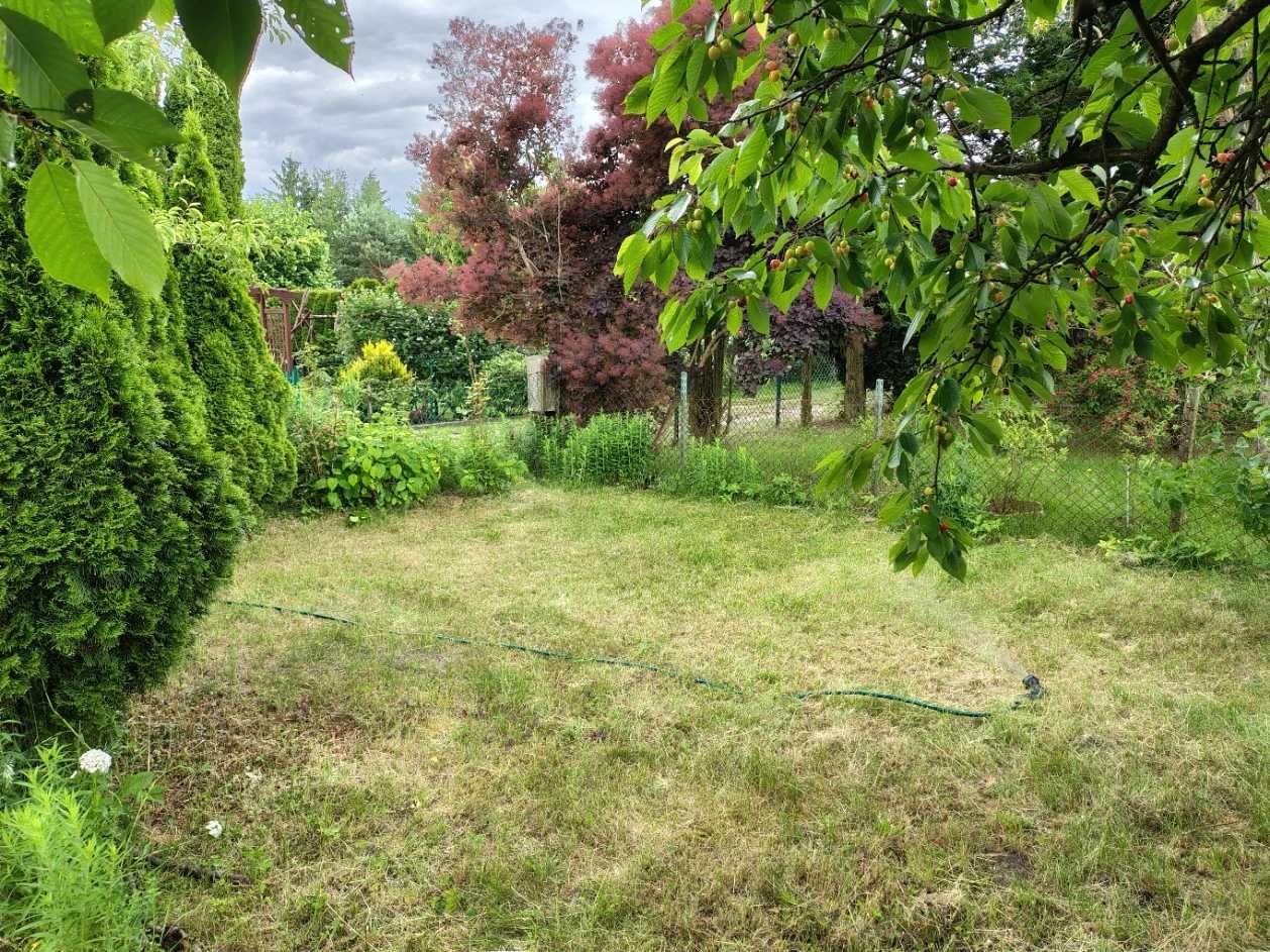 Działka ROD Poranek 340 m2 ul. Olkuska Łódź