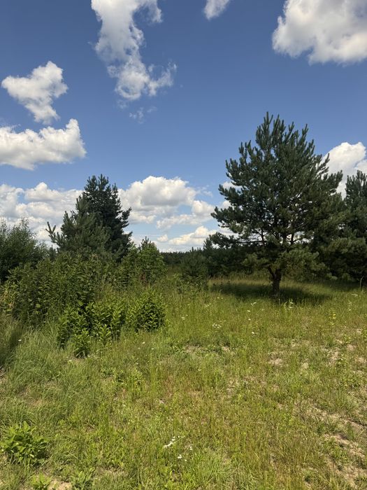 Ділянка з електрикою біля лісу в закритому котеджному містечку