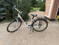 Rower damski Trek t80