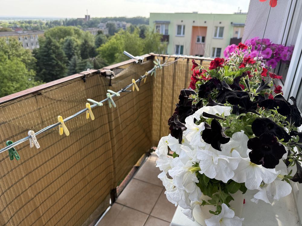 Sprzedam mieszkanie w Rejowcu Fabrycznym