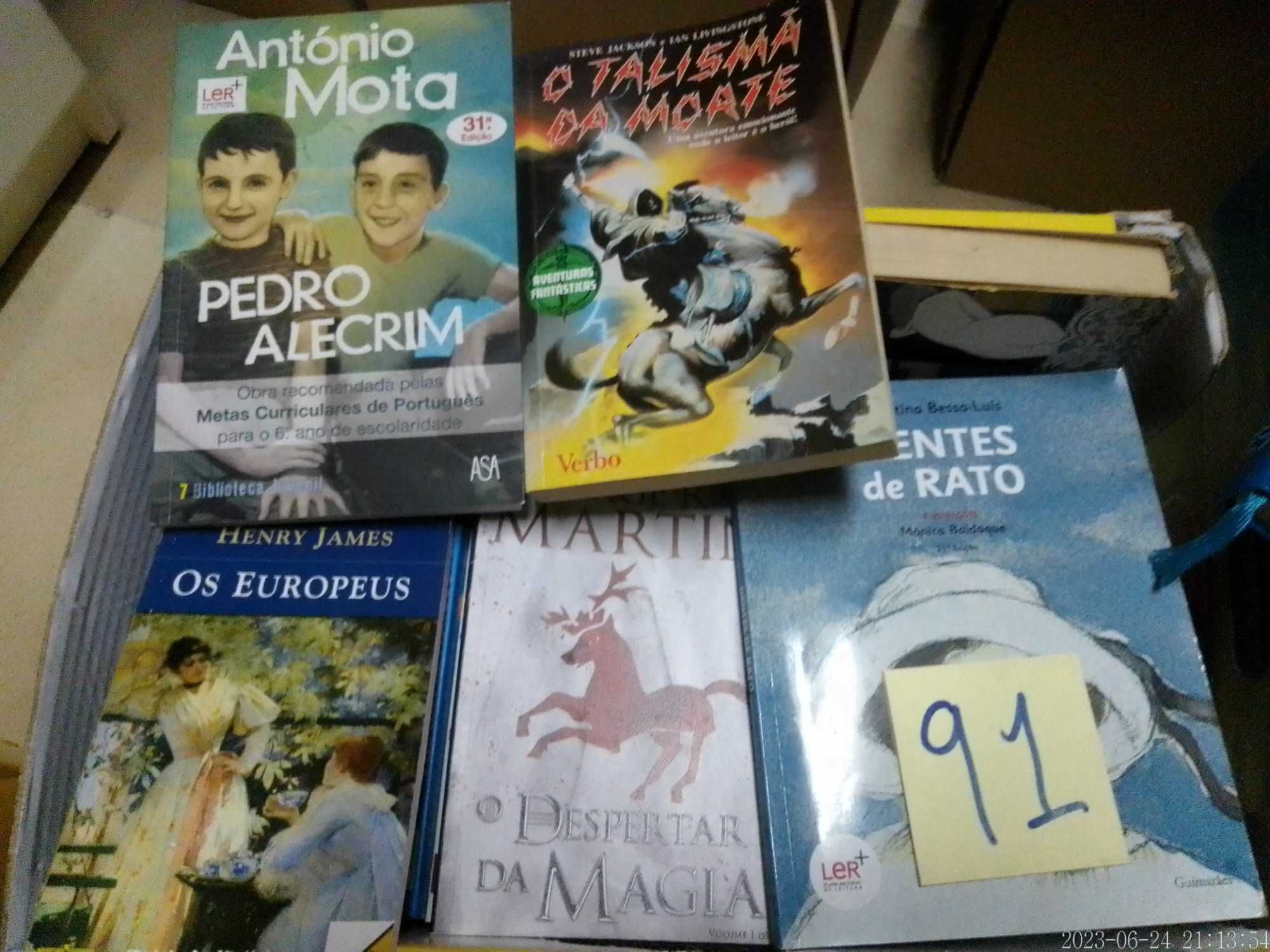 Lotes 91 (Pt1 +Pt2) LIVROS Diversos VENDIDOS EM SEPARADO Vários Preços