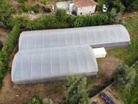 Estufas agrícolas (1000m2)