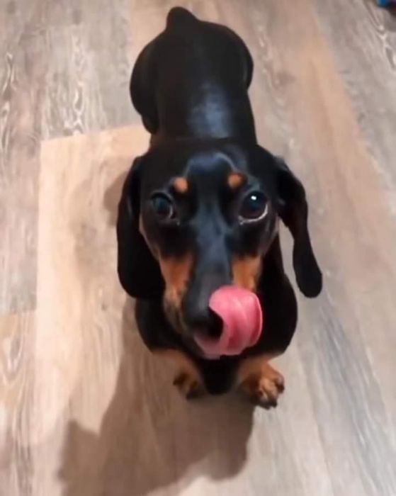 Чарівні та милі дівчинки і хлопчики