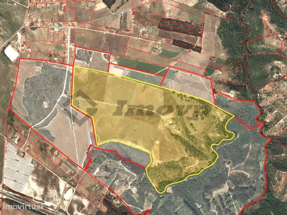 Herdade de 48,5Ha localizada no Malavado, São Teotónio com 20Ha de ...
