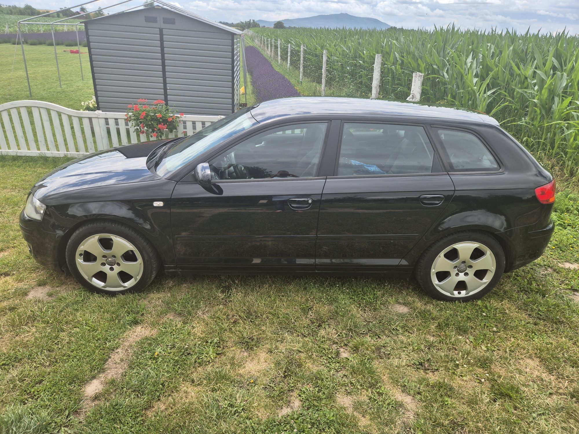 Audi A3 8P Sportback 2.0 TDi 8V 207 000 km oryginalny lakier