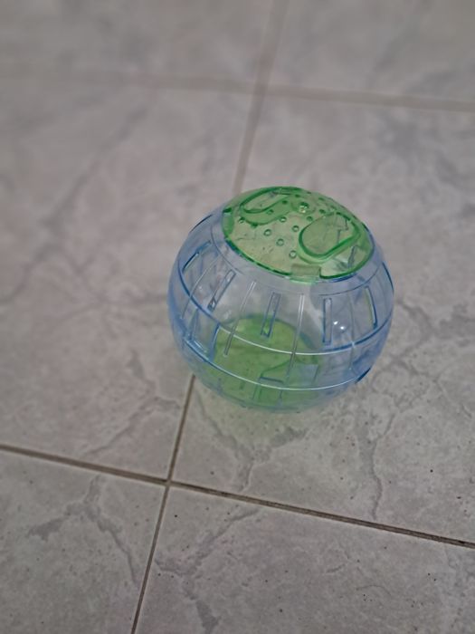 Bola  de hamster