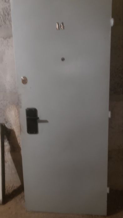 Металеві двері з луткою