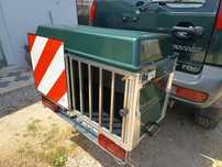 Transportadora de cães