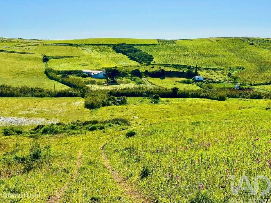 Terreno em Vila do Bispo e Raposeira de 19000,00 m2