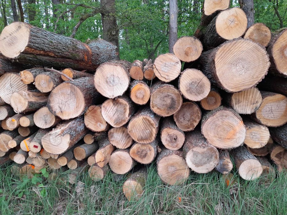 drewno opałowe sosna, brzoza, olcha