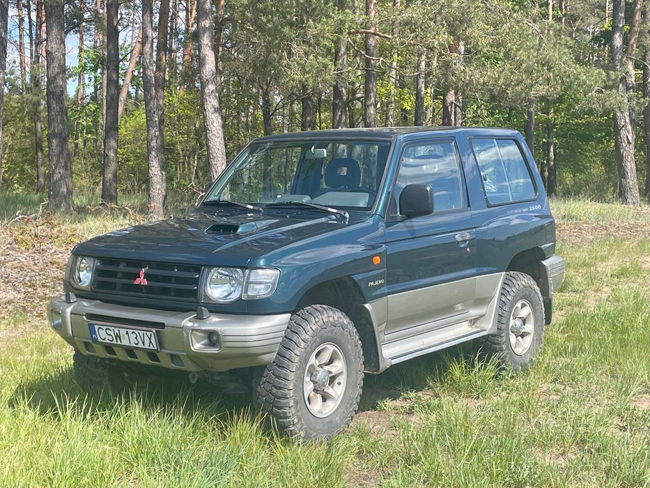 Pajero krótka wersja