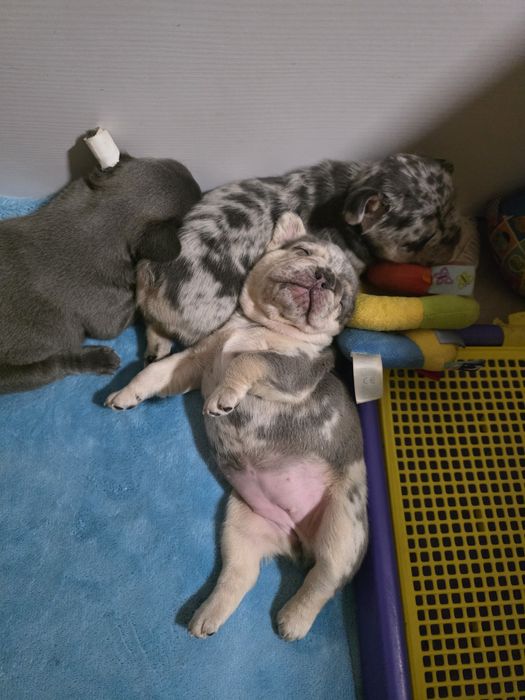 Дві дівчинки і солоденький хлопчик