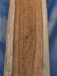 Tek / Teak / Teczyna - tarcica egzotyczna / drewno egzotyczne