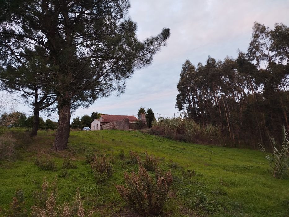 Terreno com casa