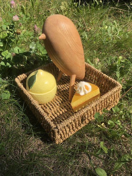 Dekoracyjny koszyk z trawy wodnej