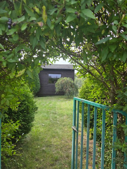 Działka ROD im. 50-lecia ZZK