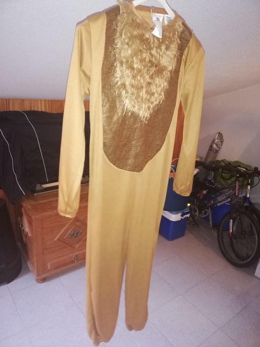 Fatos de carnaval