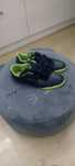Adidasy, halówki firmy Decathlon