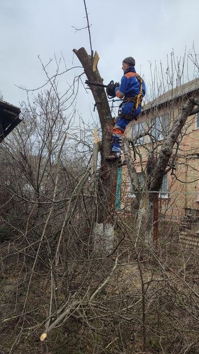 Зріз та обрізка дерев | подрібнення гілля |зачистка ділянок – швидко