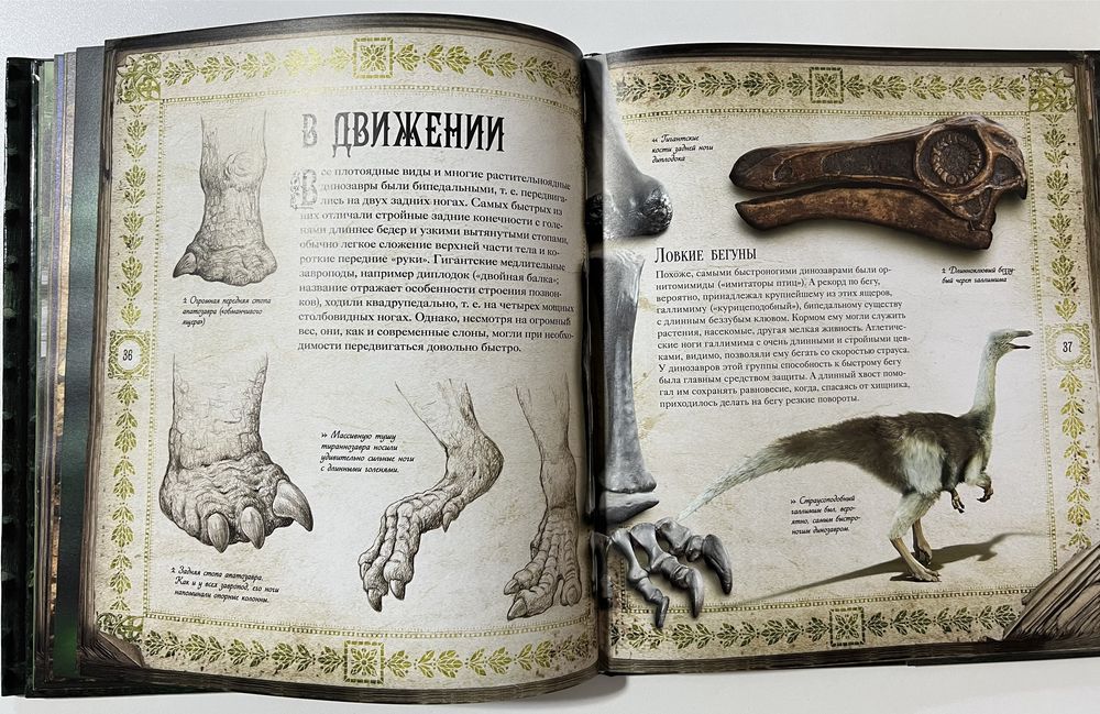 Книга Мир Динозавров