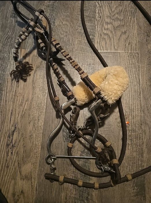 Хакамора з мотузковим оголів'ям та поводом