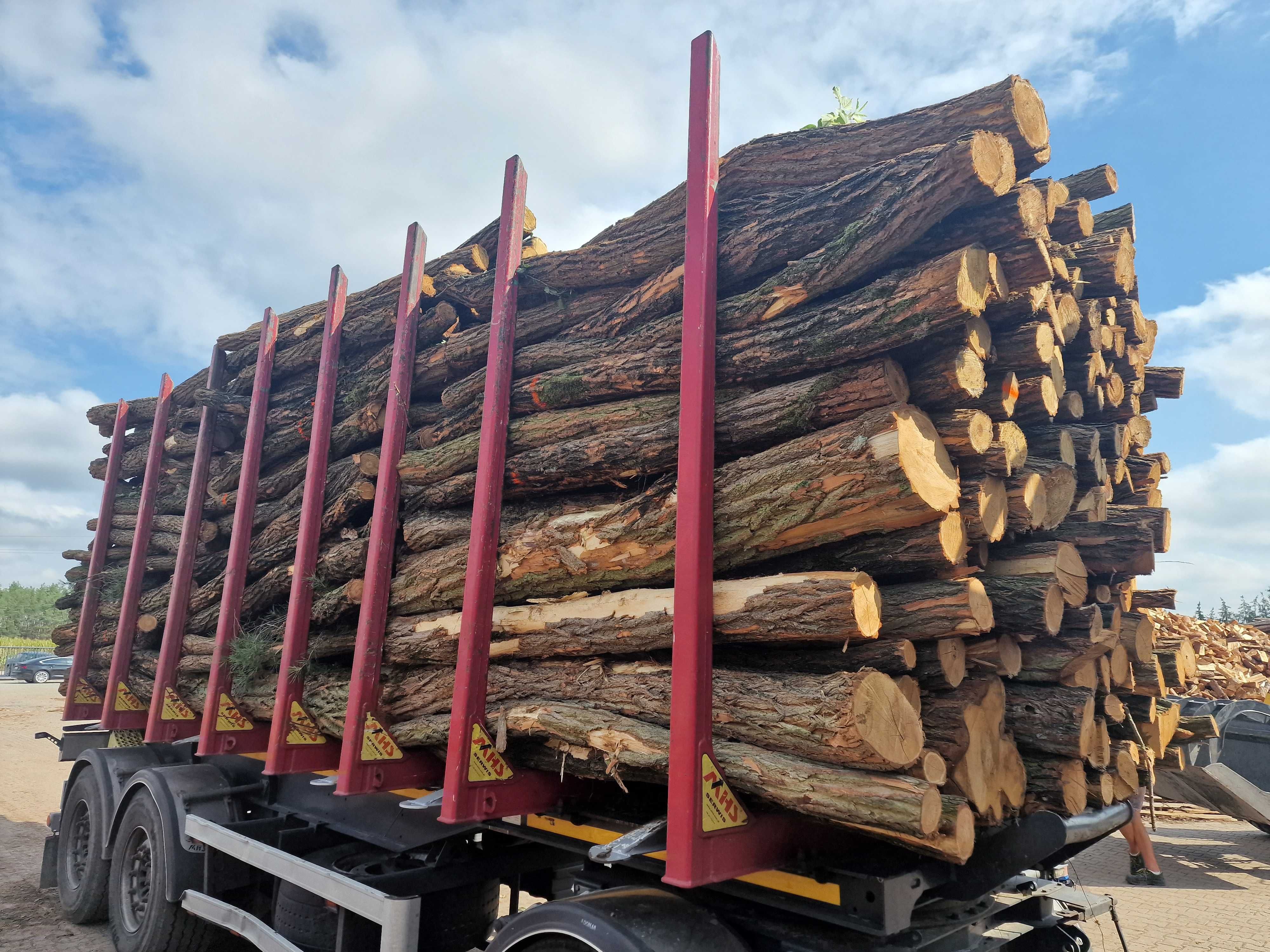 DrewKom Drewno kominkowe AKACJA kłoda dl. 2,5m S2a S2b transport HDS