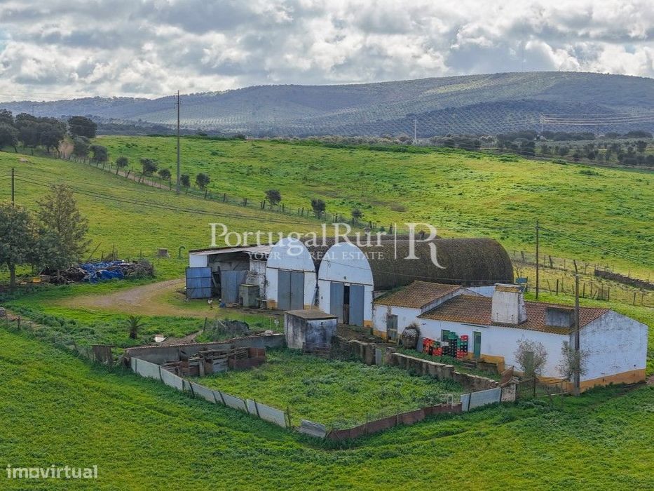 Quinta de 6 ha com várias construções em Pavia